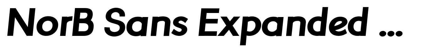 NorB Sans Expanded Bold Italic